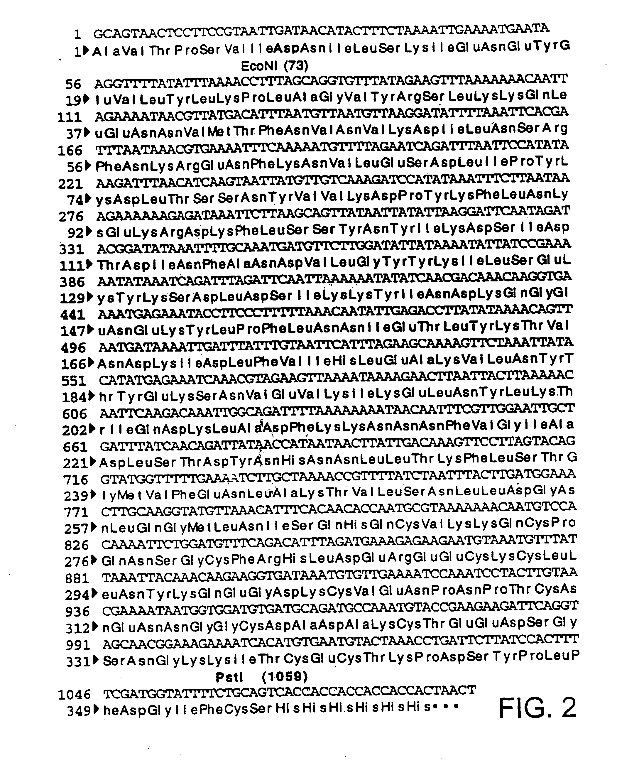 Novel modified nucleic acid sequences and methods for increasing mRNA levels and protein expression in cell systems