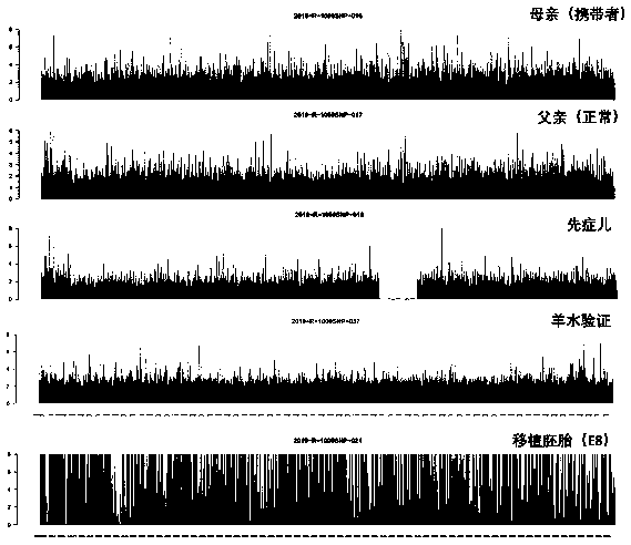 Kits for preimplantation genetic diagnosis and prenatal diagnosis of dmd