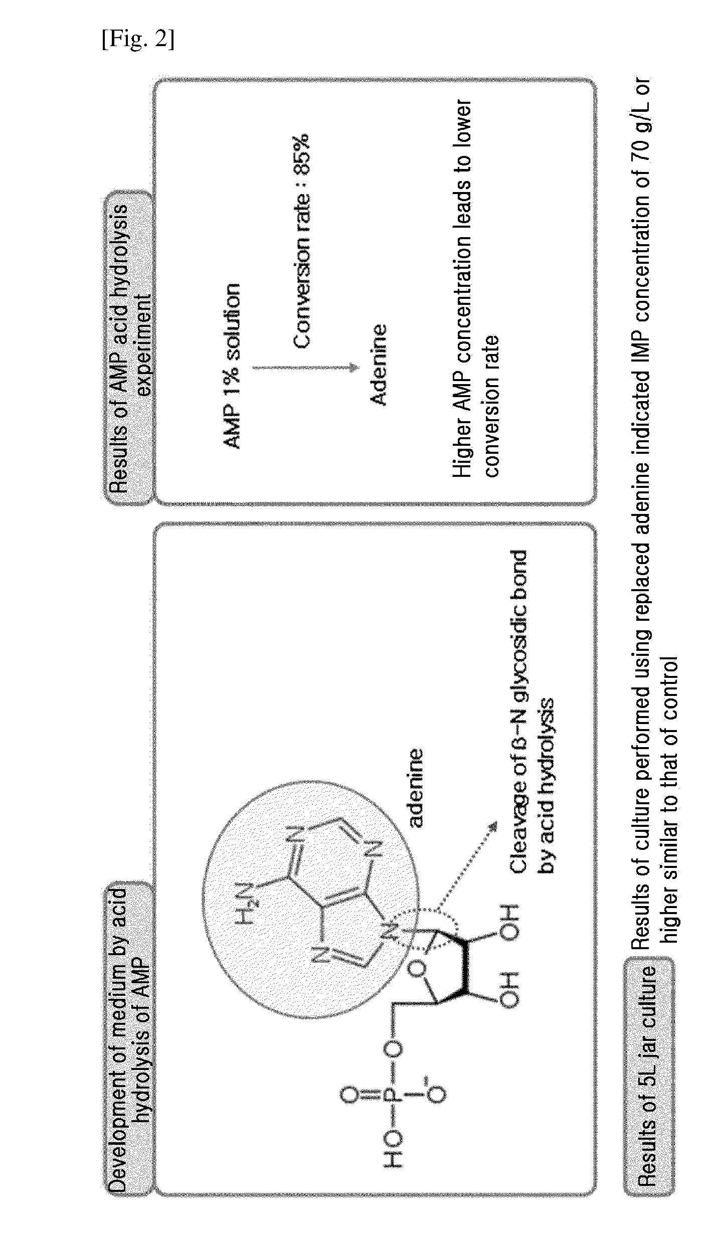 Method for Preparing Natural Kokumi Flavor