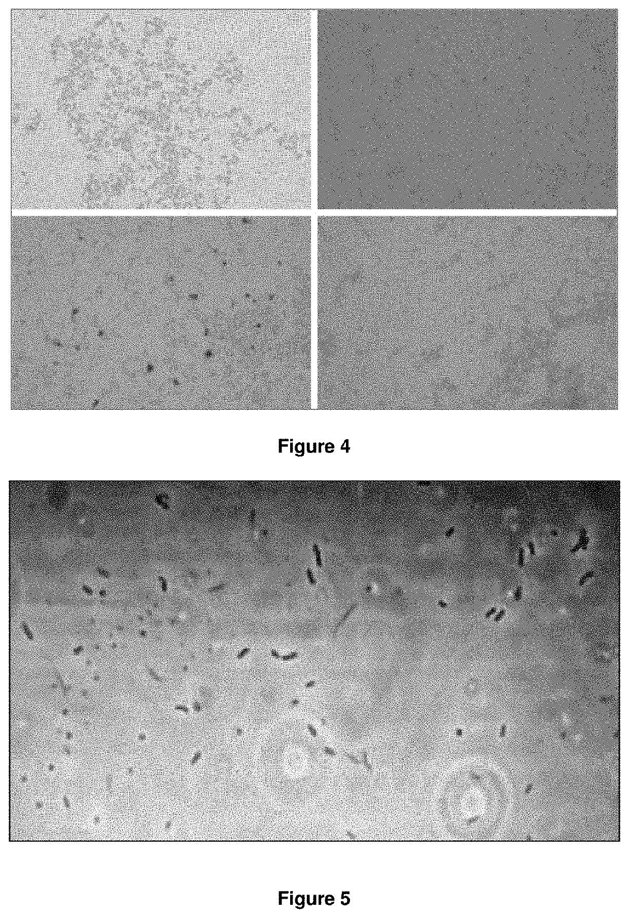 Method of biodesintegrating metal scrap with a bacterial consortium adapted to high concentrations of ferrous sulphate and ferric sulphate