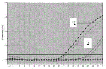 Primer and kit for distinguishing and detecting low-pathogenicity and high-pathogenicity babesia motasi