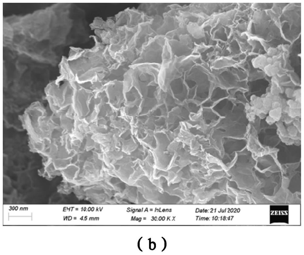 Iron-doped birnessite modification method, modified iron-doped birnessite and application of modified iron-doped birnessite