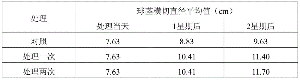 Amino acid fertilizer capable of expanding crop bulbs and fruits and preparation method thereof