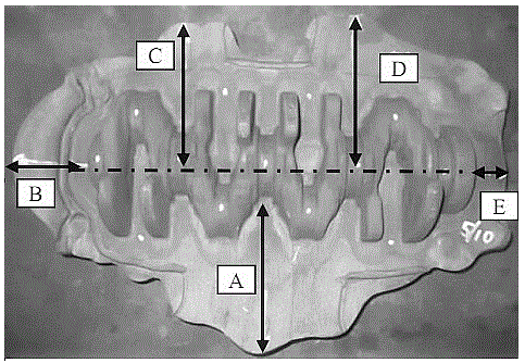 Method for conducting analog simulation on crank die forging process through computer aided engineering (CAE)