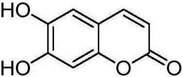 Method for extracting aesculetin from caper euphorbia seeds