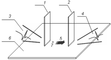 Semiconductor defect detection method based on surface plasma wave