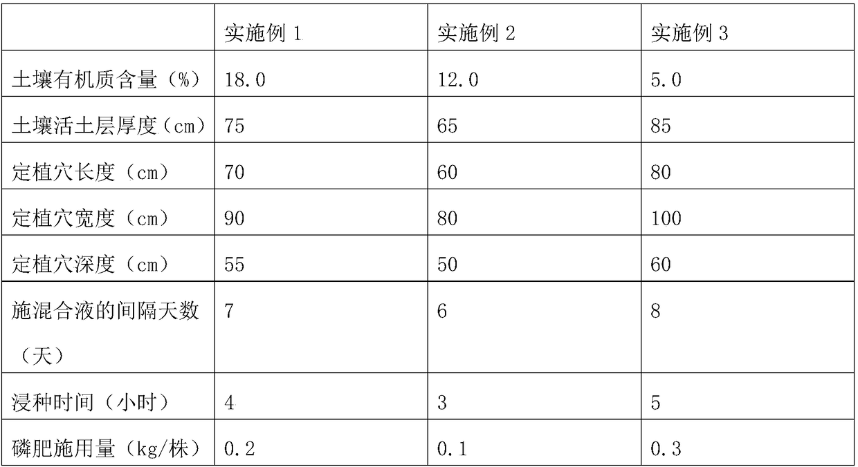 Chinese gooseberry planting technology