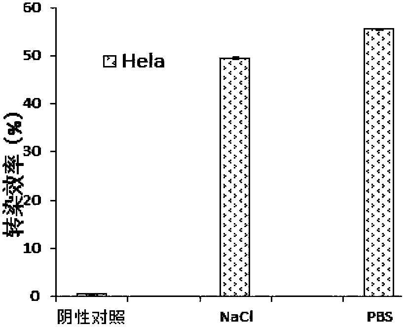 Solution for preserving magnetosome and application thereof