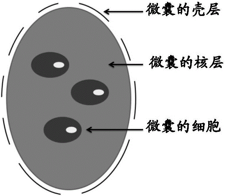 Preparation method of composite structure