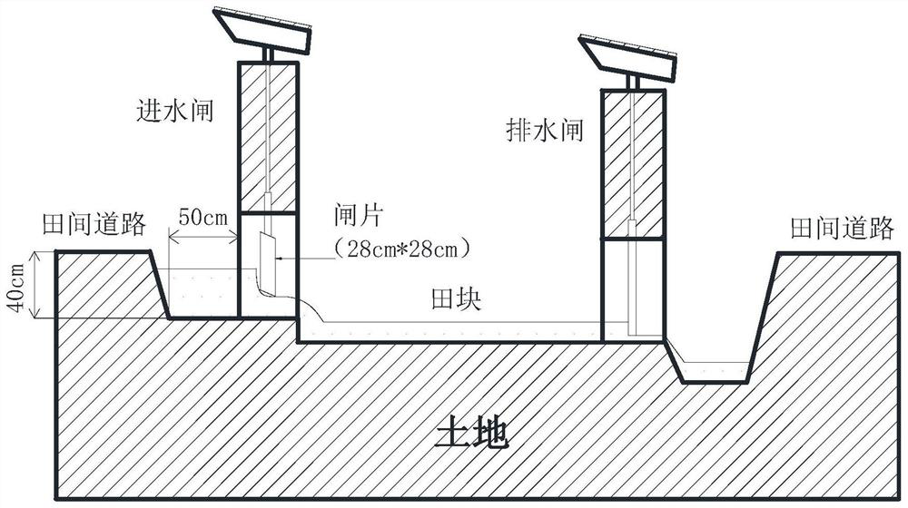 Irrigation and drainage system capable of applying fertilizer with water for rice field