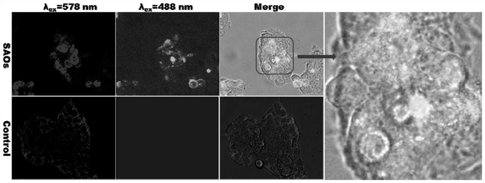 Galactooligosaccharides and their derivatives and their application as drugs or health products for improving mitochondrial function and preventing insulin resistance-related diseases