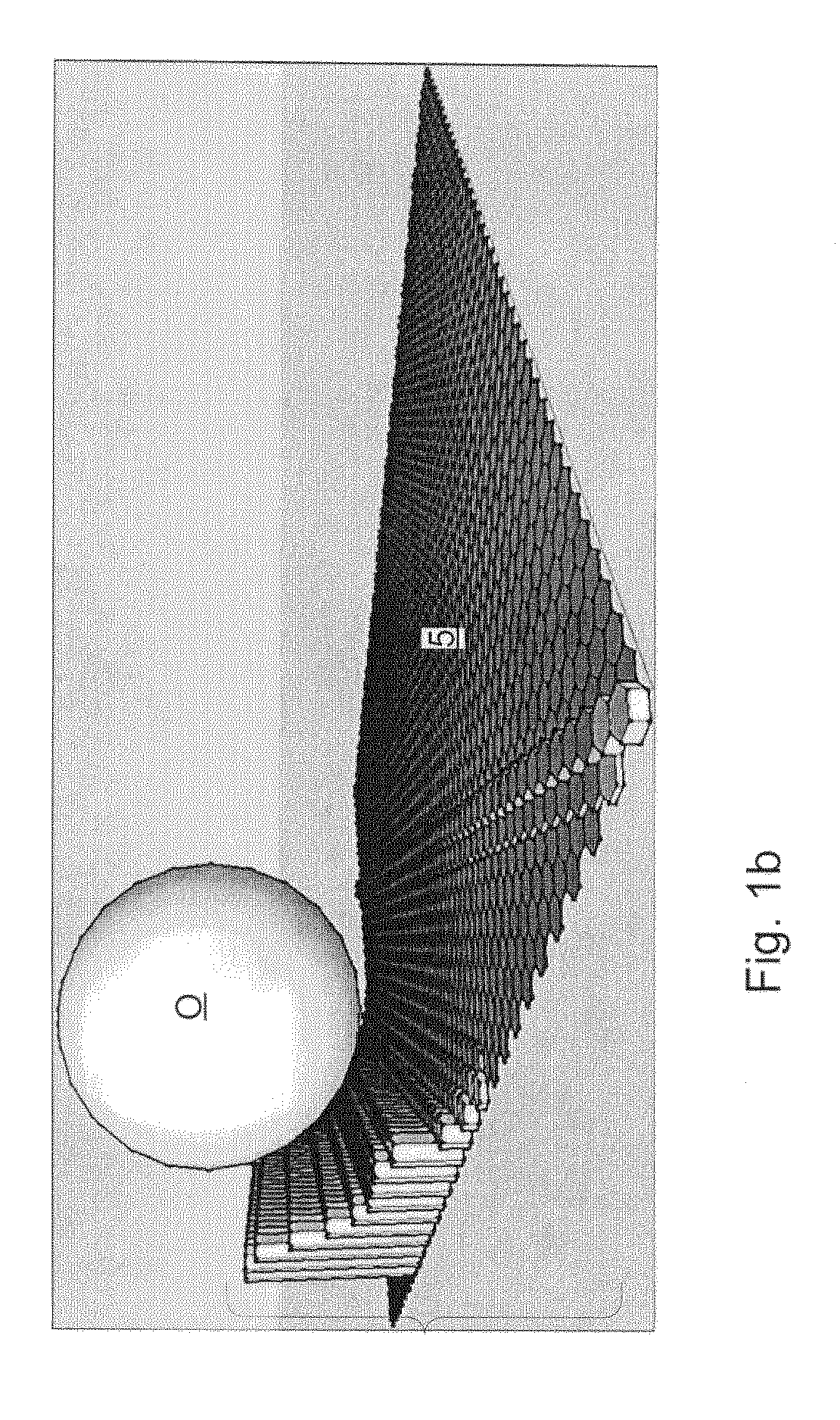 Haptic device capable of managing distributed force