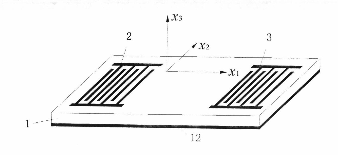 Acoustic plate mode wave virtual array sensor system and liquid detection method based on same