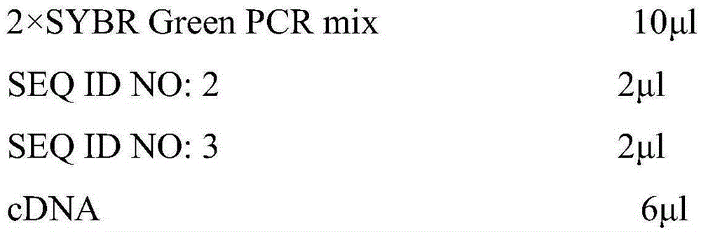 Blood miR-3135b detection kit used for diagnosis of coronary artery vascular calcification