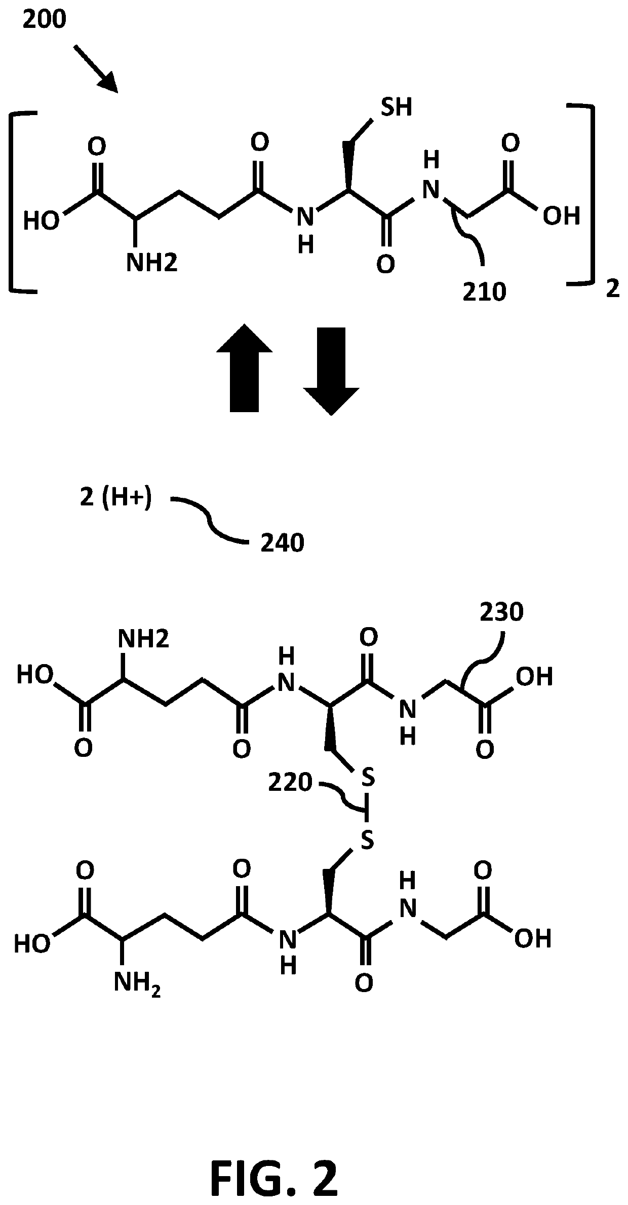 Nootropic fullerenes and use