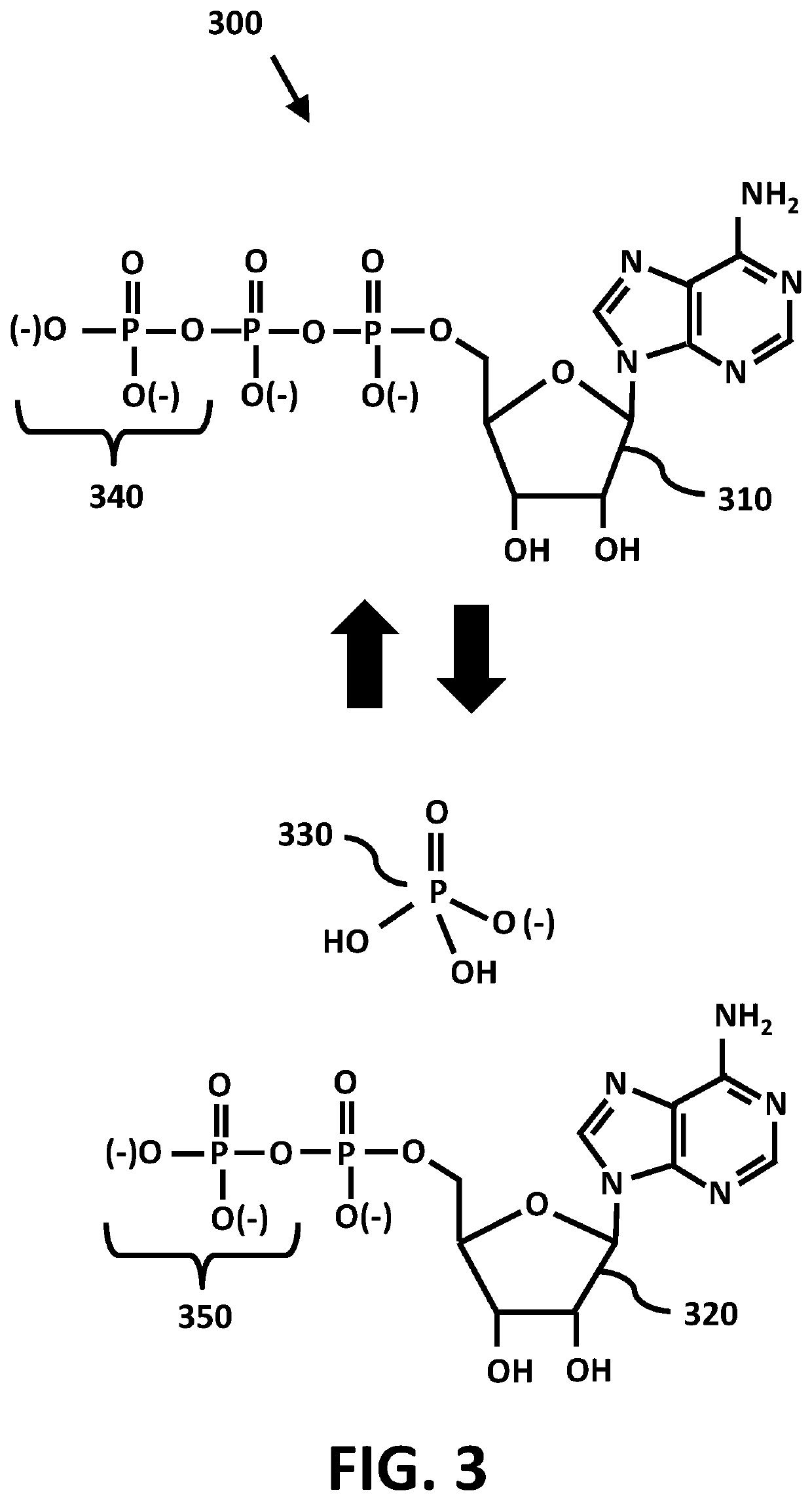 Nootropic fullerenes and use