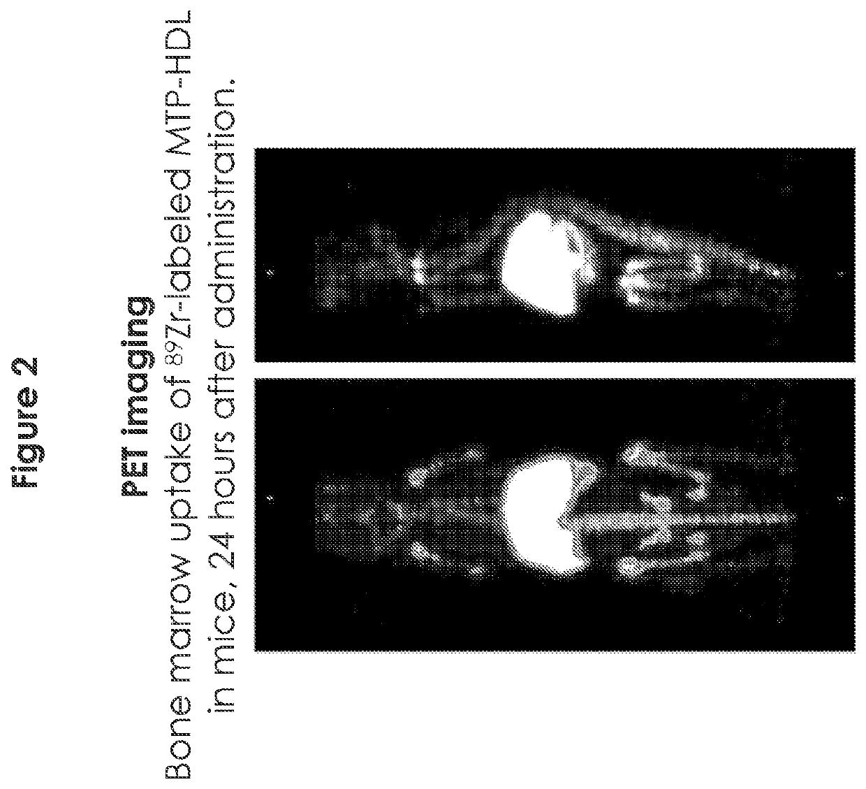 Nanobiologic compositions for promoting trained immunity