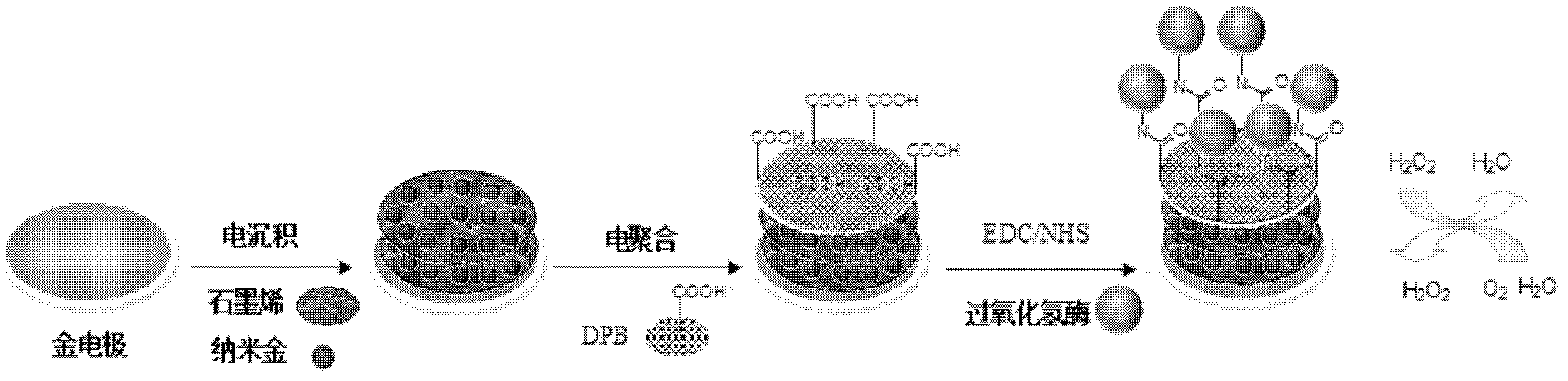 Method for preparing graphene biosensor