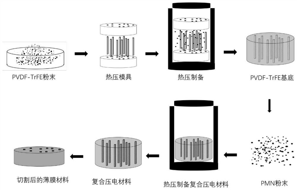 Preparation method of composite piezoelectric material based on PVDF-TrFE