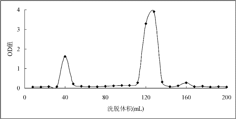 Method for separating neutral longan polysaccharide fraction