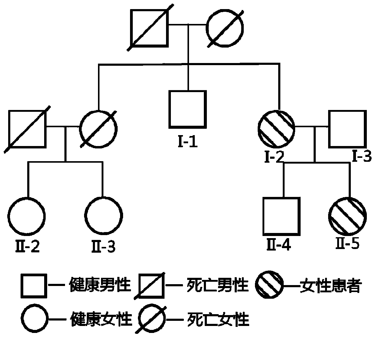 Non-syndromic cleft lip related low-frequency/rare mutation and detection method thereof