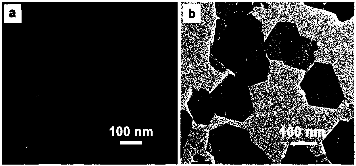 Preparation method and application of hollow porous transition metal chalcogenide nanosheets