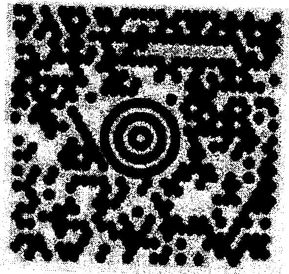 Trilateral poly-dimensional bar code easy for omnibearing recognition and reading method thereof