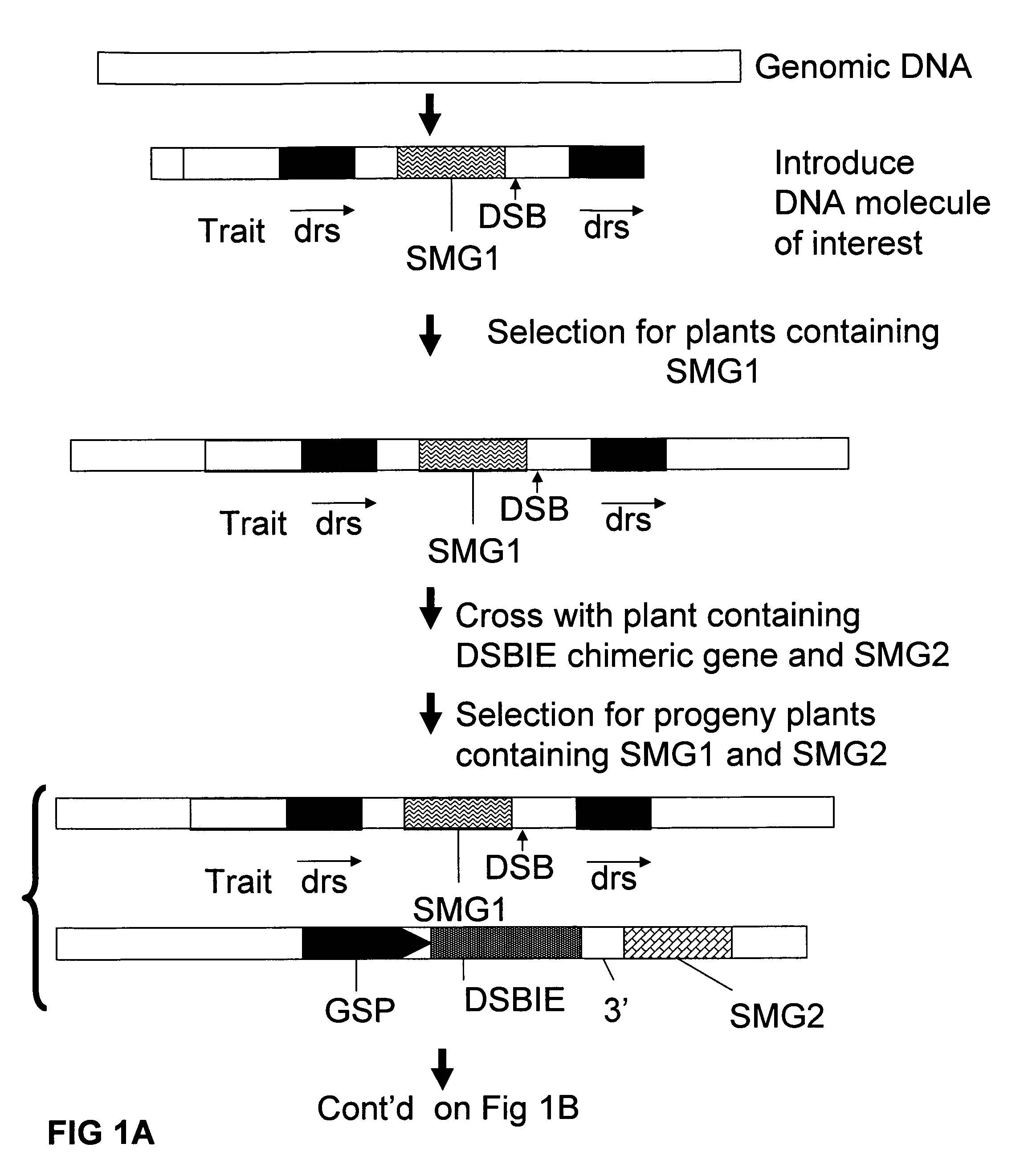 Methods and means for removal of a selected DNA sequence