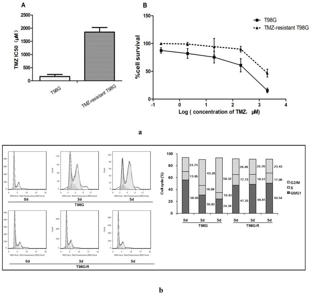 Application of a long non-coding RNA TRALR