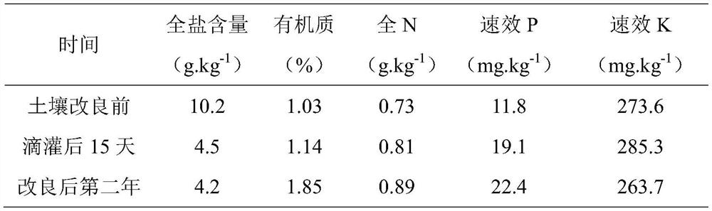 Method for planting figs in coastal heavy saline-alkali land