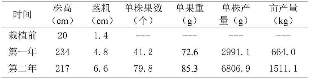 Method for planting figs in coastal heavy saline-alkali land