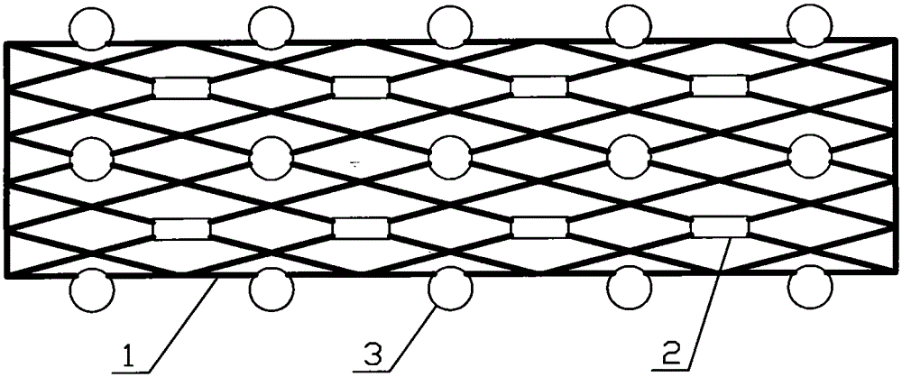 Intracavitary stent for medical radiotherapy and chemotherapy