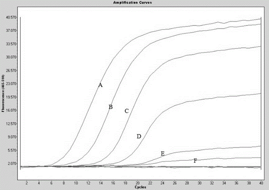 Newcastle disease virus/avian influenza virus H9 subtype/infectious bronchitis virus triplex fluorescence quantification detection reagent and detection method