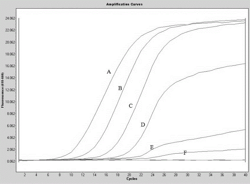 Newcastle disease virus/avian influenza virus H9 subtype/infectious bronchitis virus triplex fluorescence quantification detection reagent and detection method