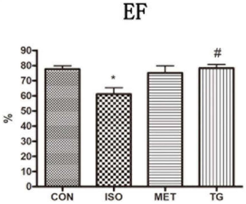 Application of Tongguan Capsules in Preparation of Drugs for Treating Hypertensive Heart Failure