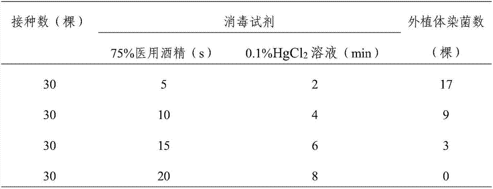 Rapid propagation method of Thunia alba seedlings