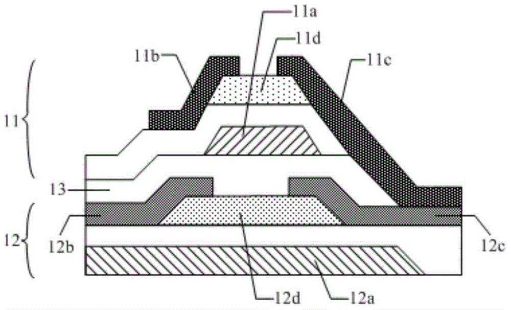 Fingerprint identification member, identification method, display member and display device