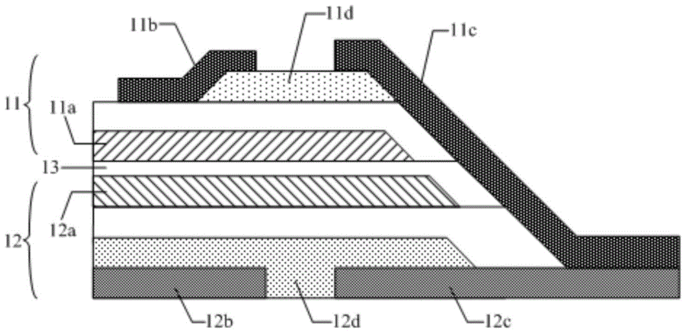 Fingerprint identification member, identification method, display member and display device