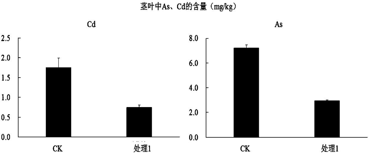 Soil conditioner for remediation of Cd/As combined pollution of paddy fields and preparation method thereof