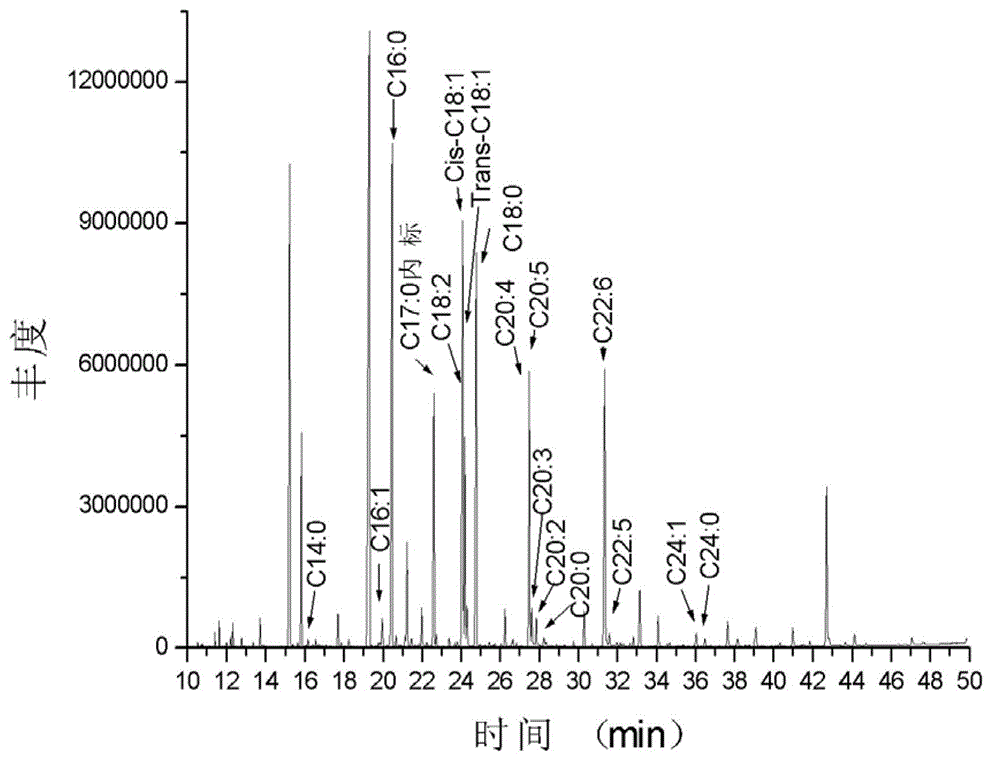 Method for detecting fatty acid content by gas chromatography-mass spectrometry (GC-MS)