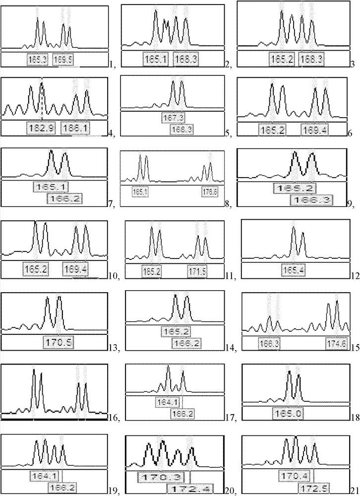 Microsatellite DNA (Deoxyribonucleic Acid) markers of Chinese three-keeled pond turtle