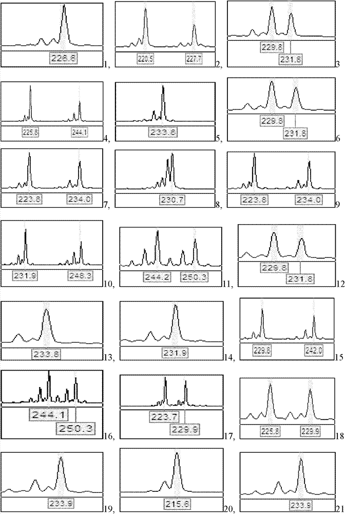 Microsatellite DNA (Deoxyribonucleic Acid) markers of Chinese three-keeled pond turtle