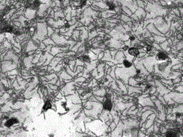 Method for fermentation production of bacitracin