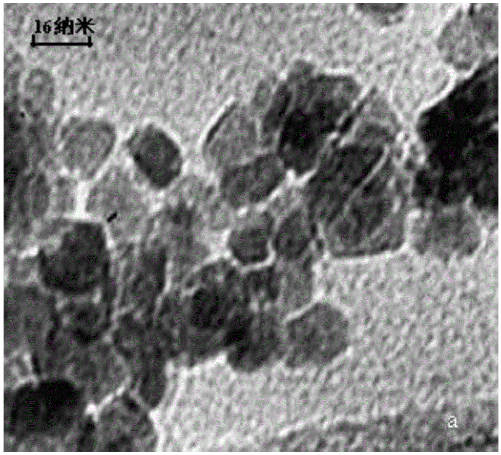 Aptamer-modified magnetic nano material and application thereof in separating ochratoxin A