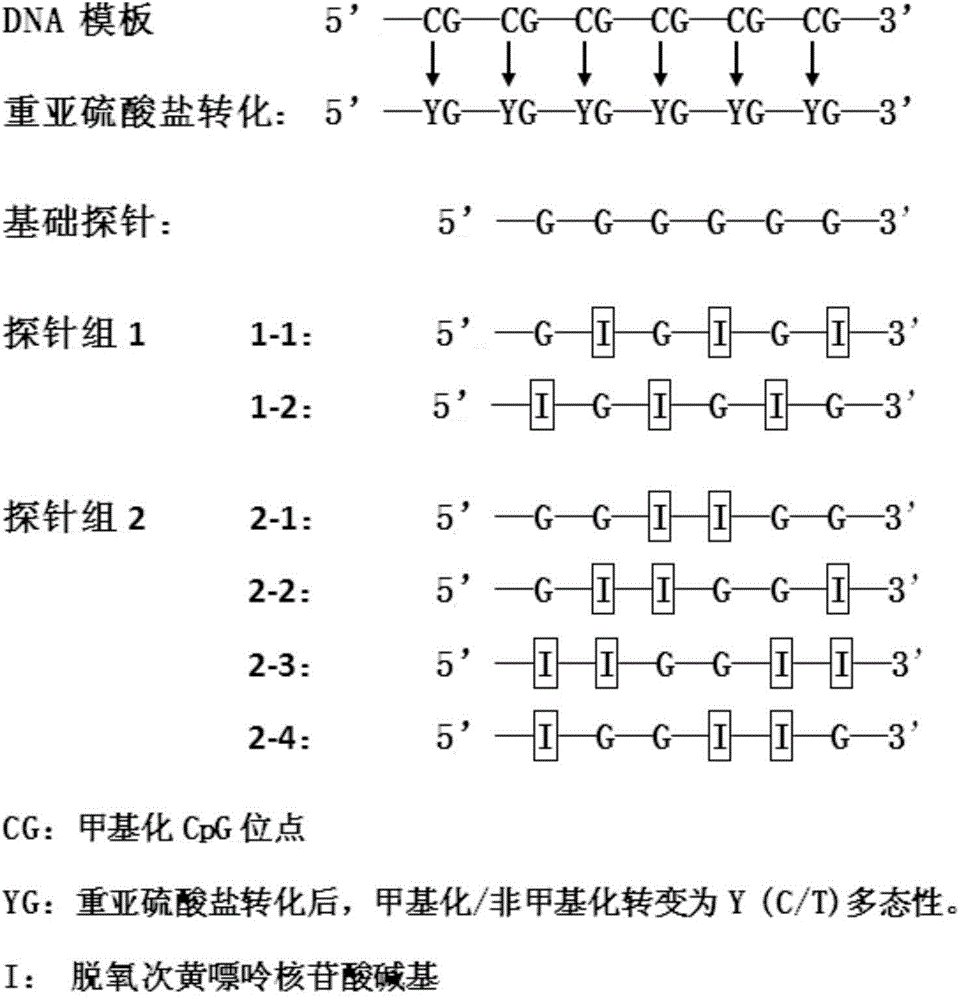 Probe group for diagnostic gene methylation and application of probe group