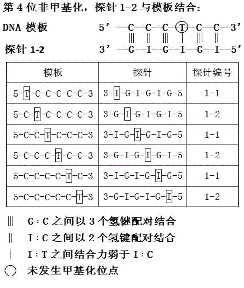 Probe group for diagnostic gene methylation and application of probe group