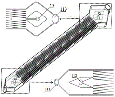 Disposable separating chip module for peripheral blood circulating tumor cell and application method of disposable separating chip module