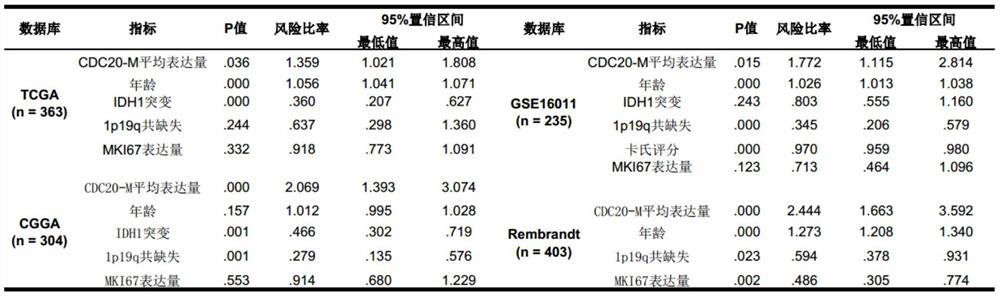 Molecular classification and application of glioma based on cdc20 gene co-expression network