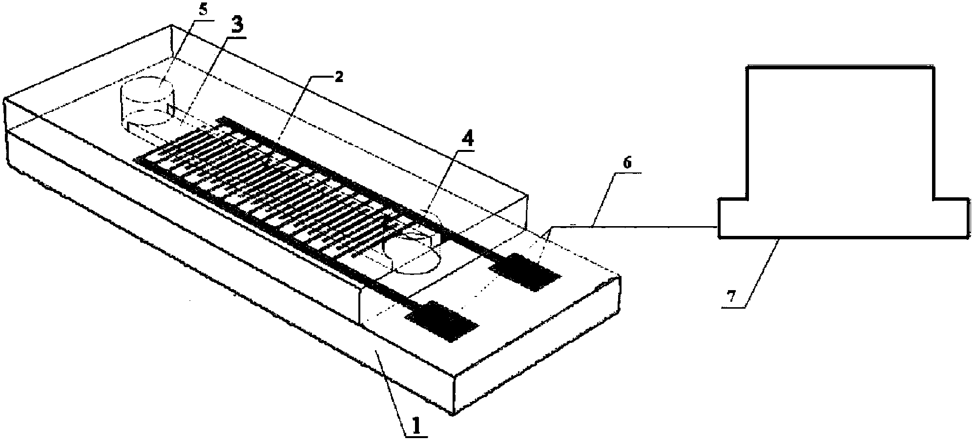 Periodontal bacteria impedance immunosensor based on conductive polymer