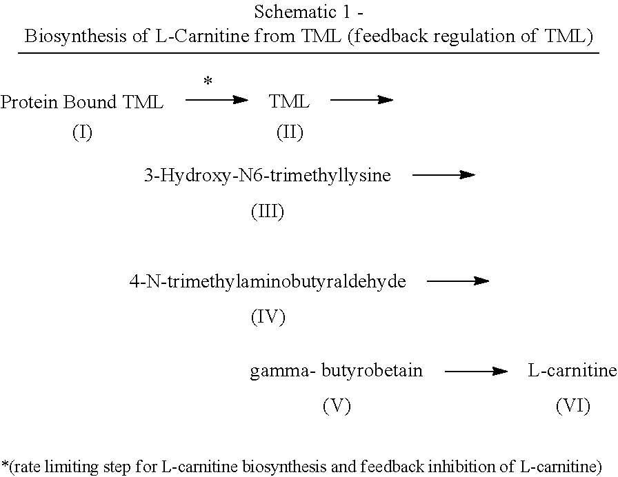 Method of treating a human being for a class of metabolic defects and energy production disorders